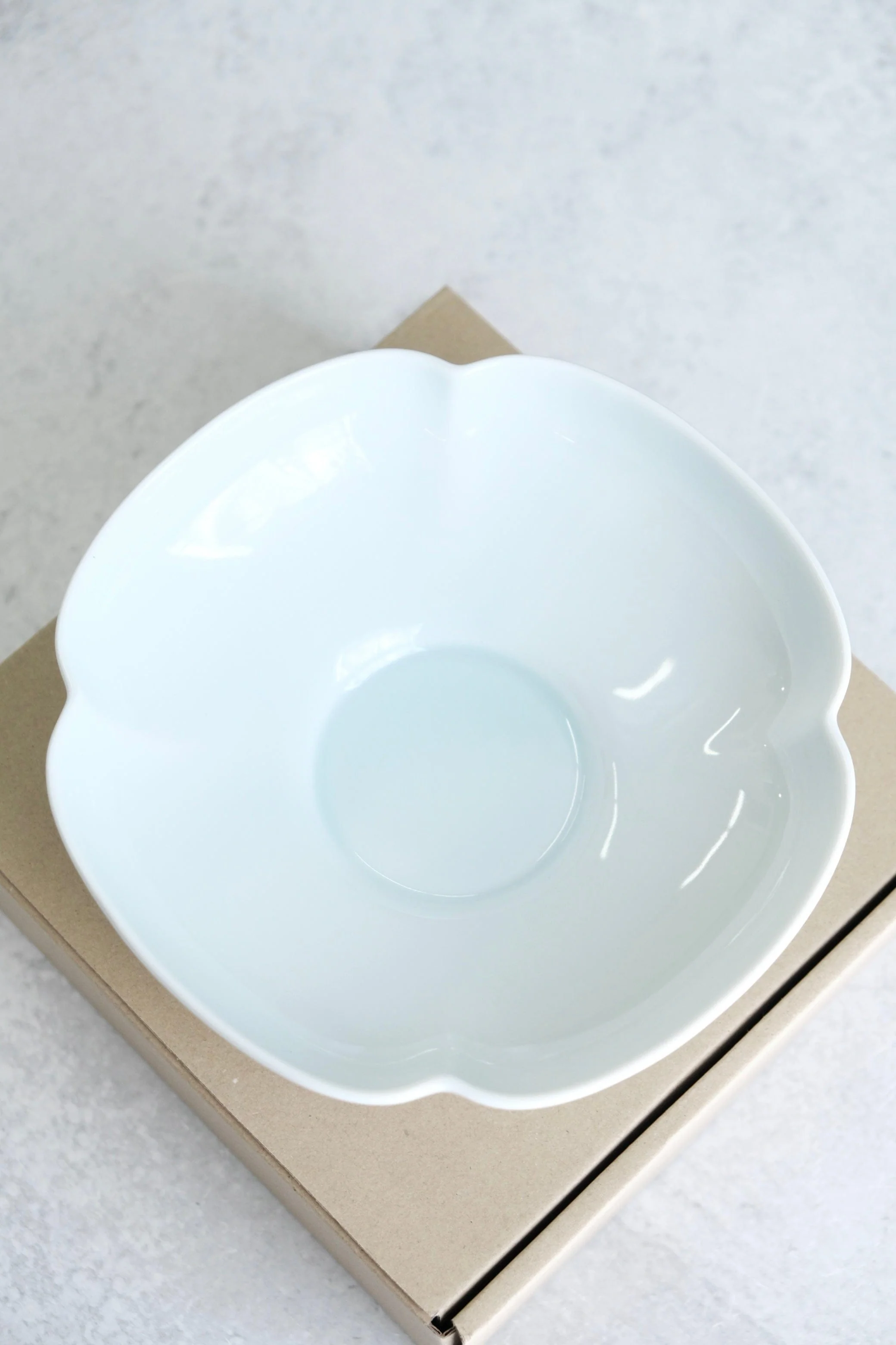 MIYAMA MIZU MIZU "瑞“ by RINA ONO (BLUE WHITE SERVING BOWL) - Image 4