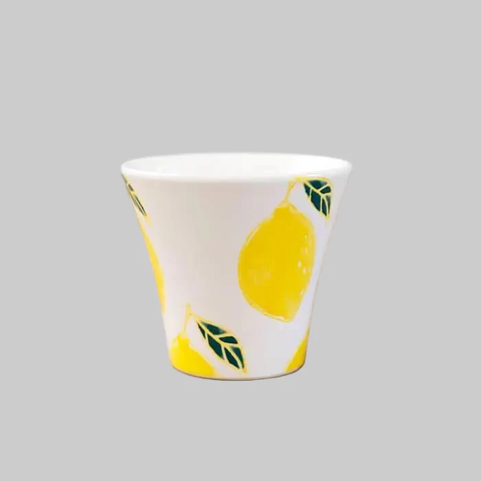 Hasami Yaki handcraft Lemon Tea set Wooden gift box - Image 5