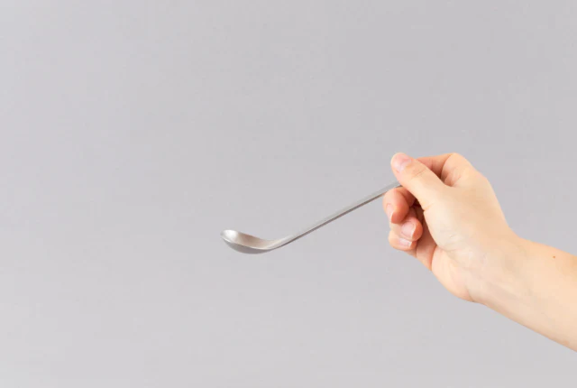 SORI YANAGI Stainless Cutlery - Image 10